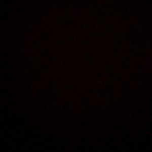 Meet your Posher, Celia